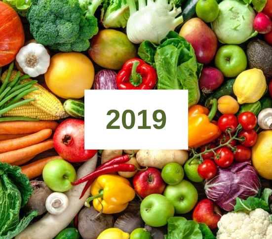 2019 Annual Report