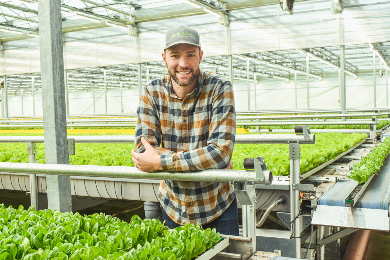 Trent stands over multiple beds of lettuce in a greenhouse.