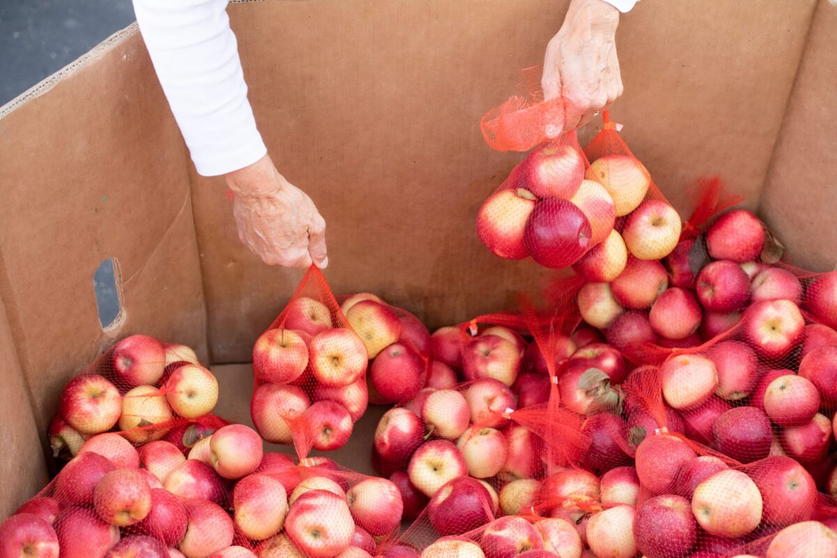 Easy Recipes to Make the Most Out of Mobile Food Pantry Produce