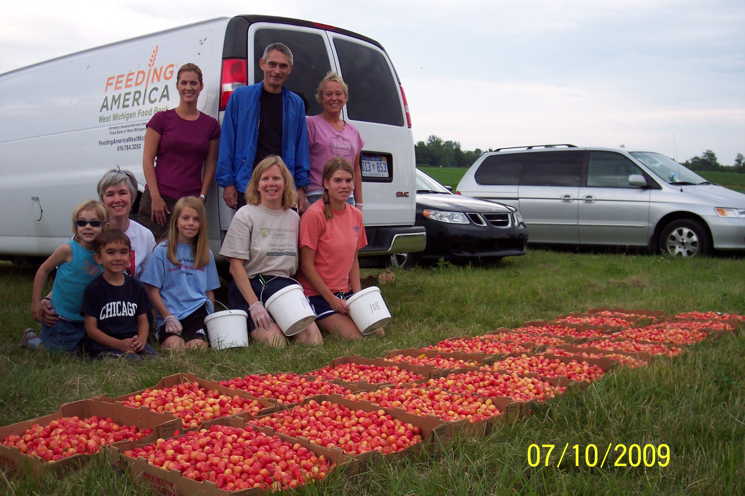Volunteers glean cherries (2009)