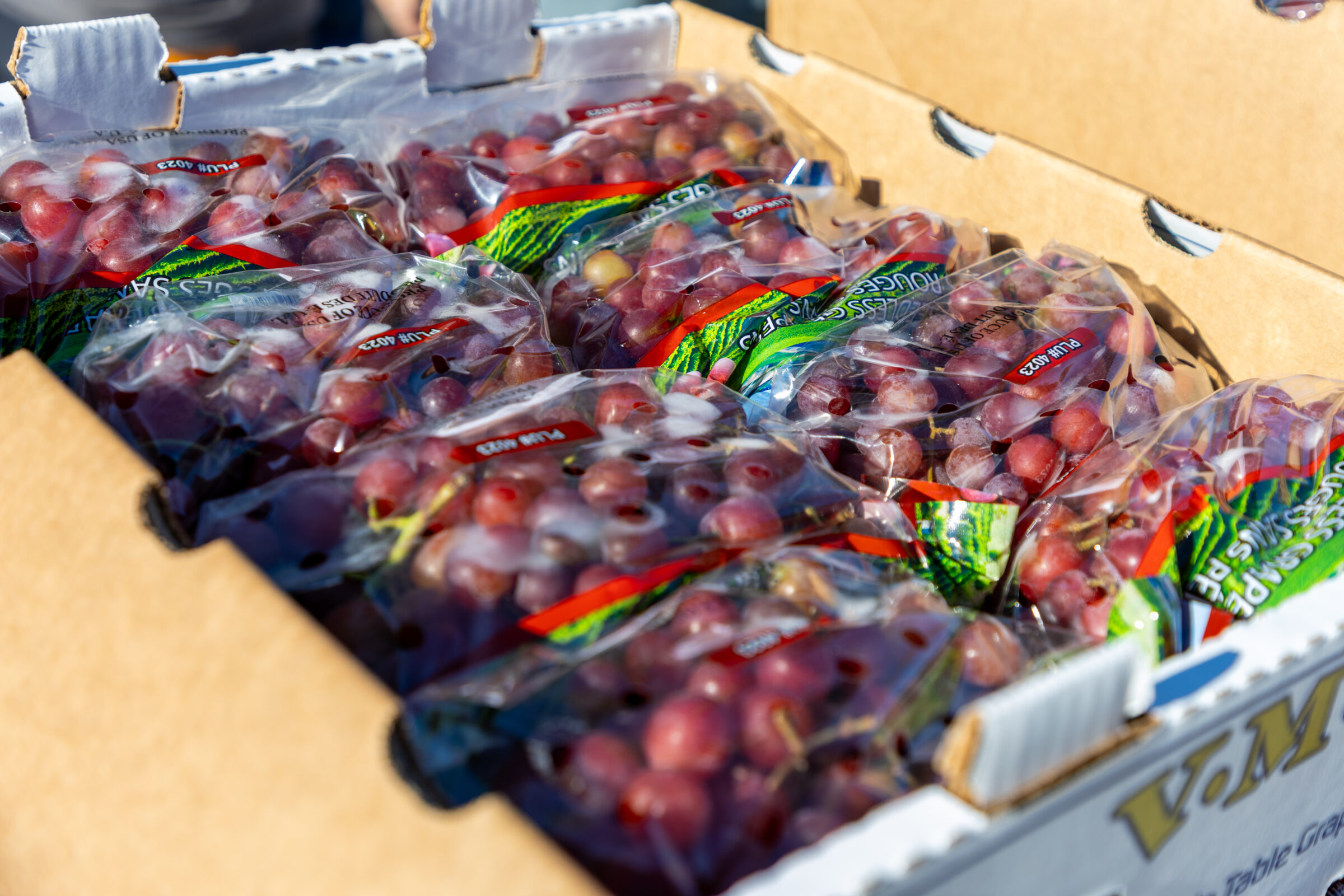 Produce stacked in a box at a mobile food pantry.
