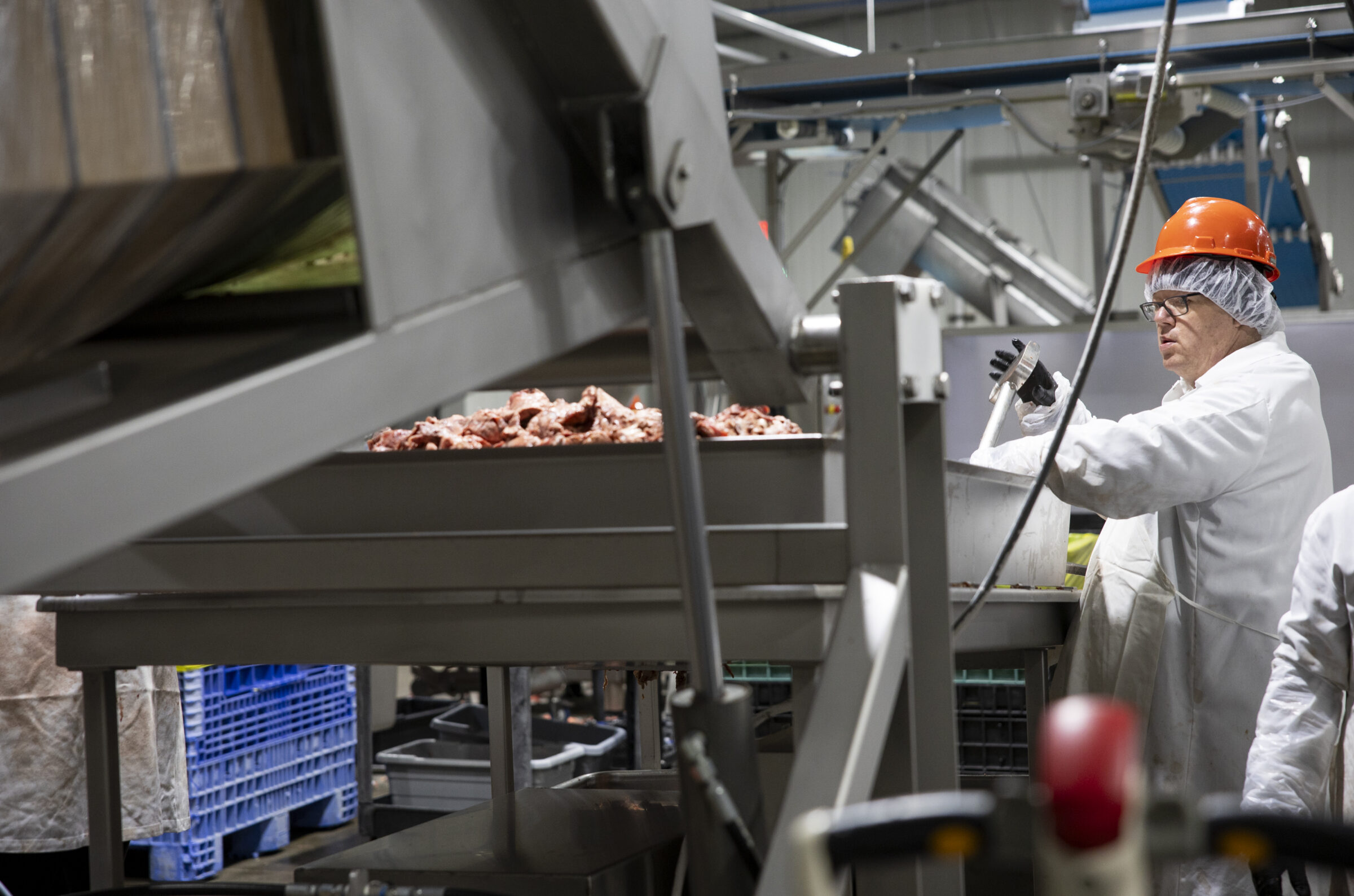 Tolman's Meats employee using a machine to sort meat. 