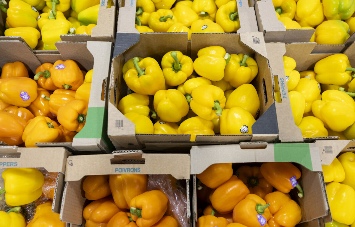 Breaking Down the Basics: Food Sourcing