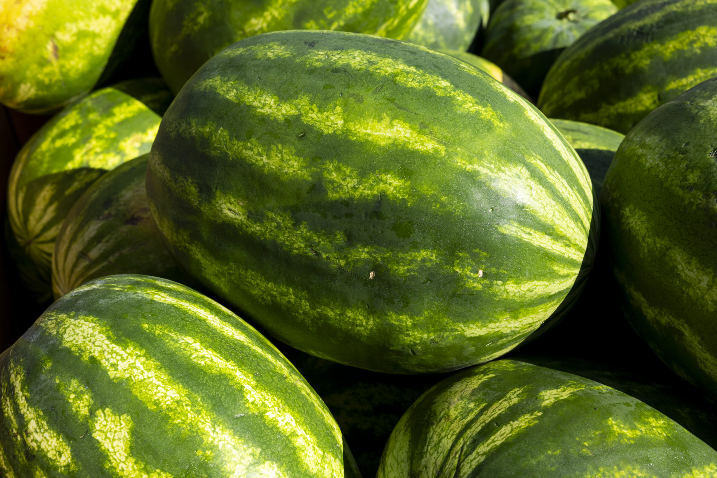 A pile of large watermelon.